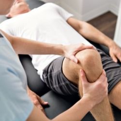 Physiotherapy: Wellness Practice
