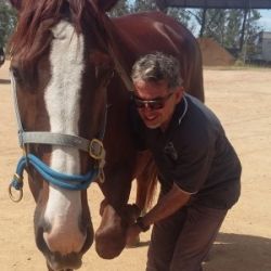 Mobile Equine Practice for sale ACT / Yass NSW